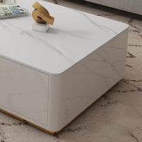 SOVIA TV Unit _ Coffee Table Set 192