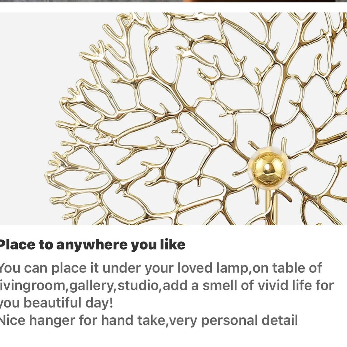 Accessories 46