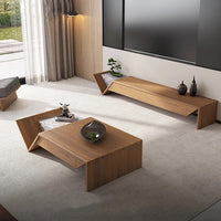 Tv unit - coffee table set 21