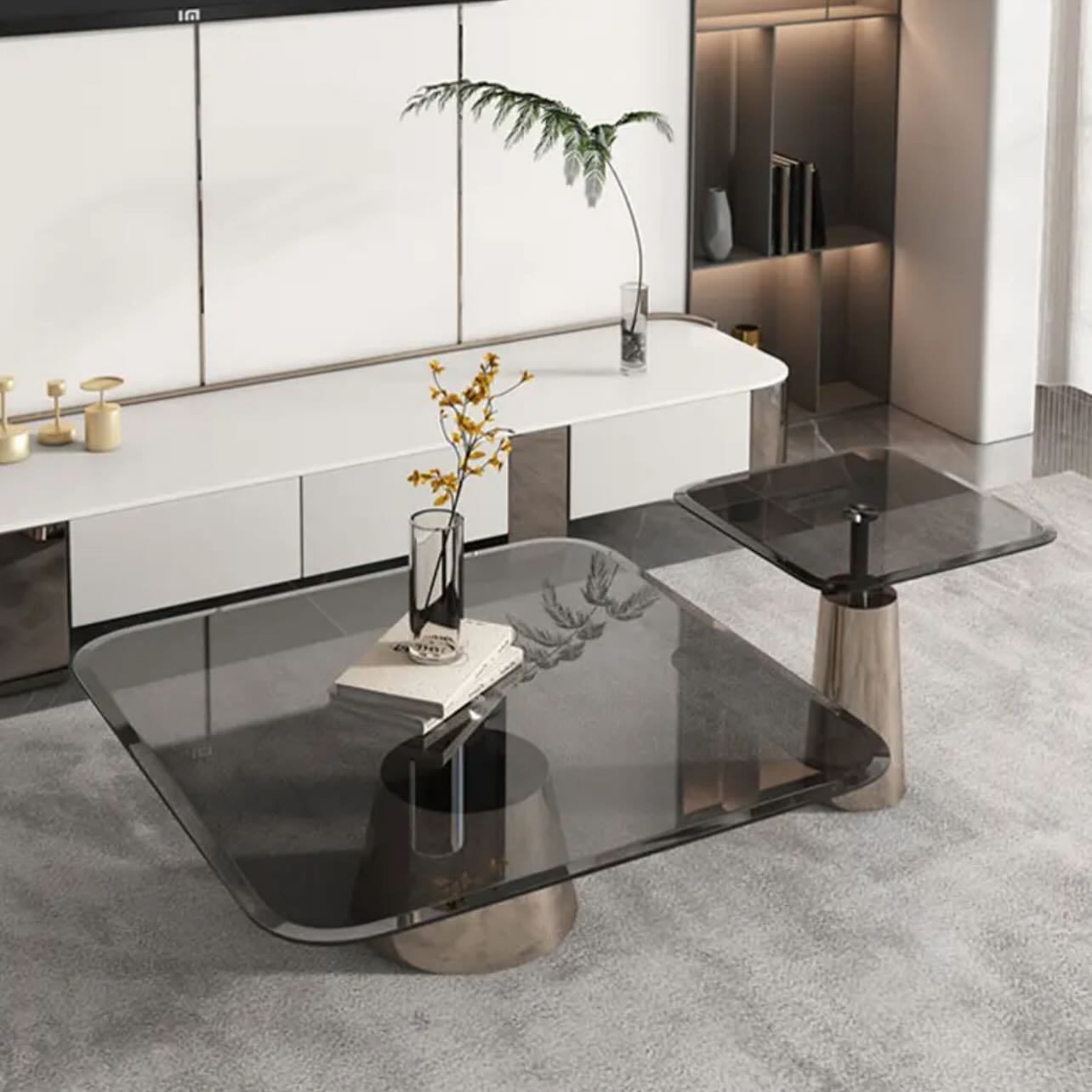 TV Unit _ Coffee Table Set - 13