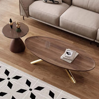 TV Unit _ Coffee Table Set - 2